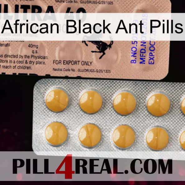 African Black Ant Pills 41.jpg